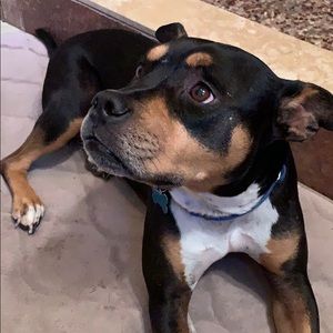 Meet your Posher, Dee